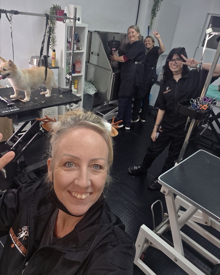 Students training together at Jodie's Groom Room International Training Centre