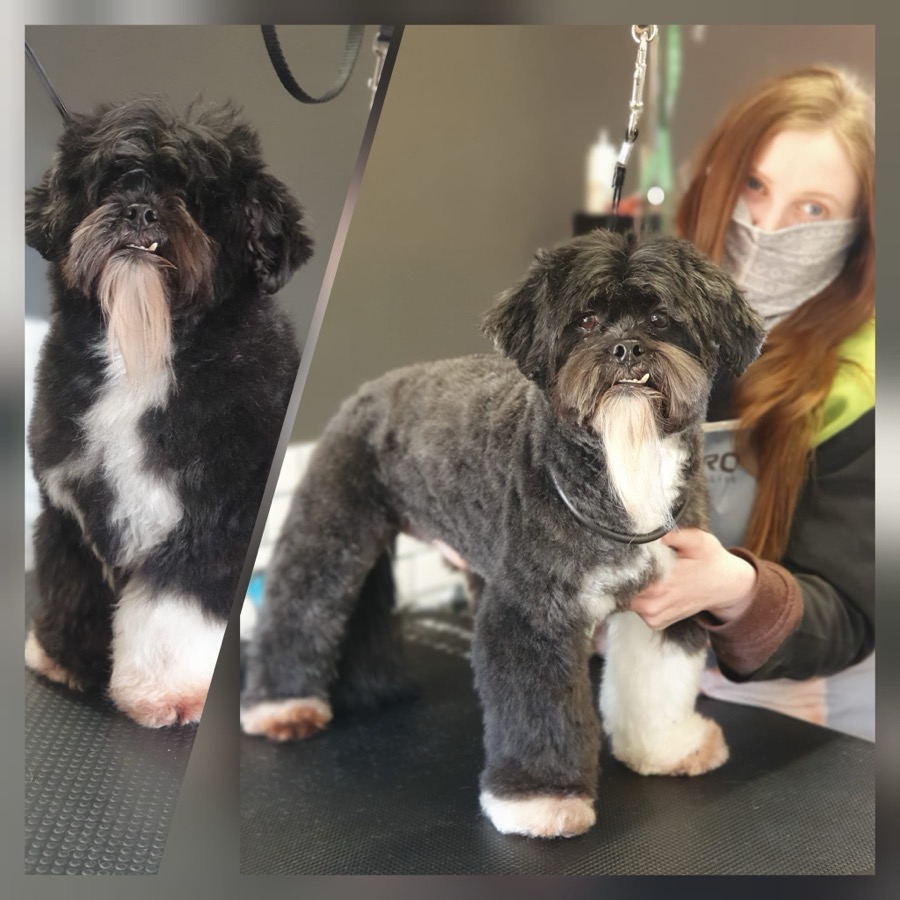 Minas final Groom