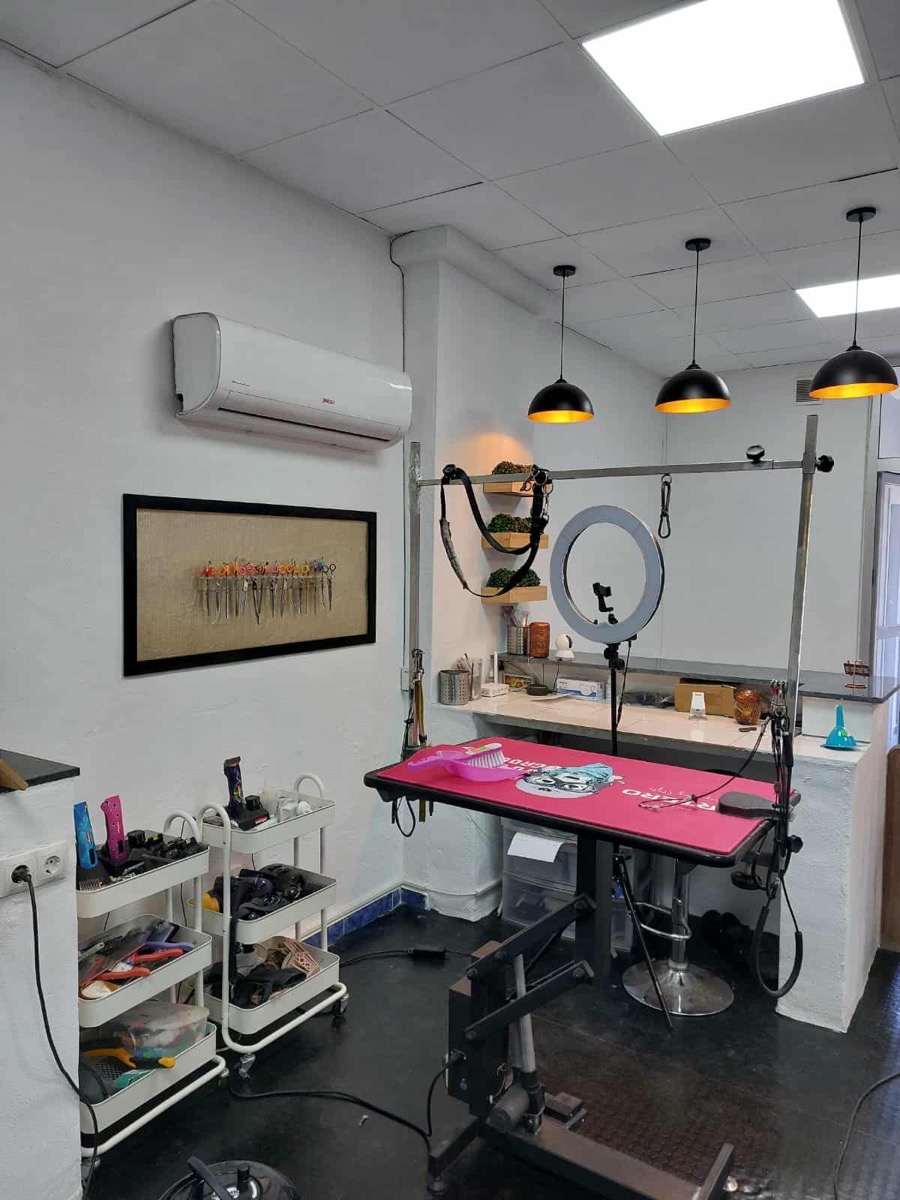 Professional dog grooming styling station with table, ring light and tool wall at Jodie's Groom Room