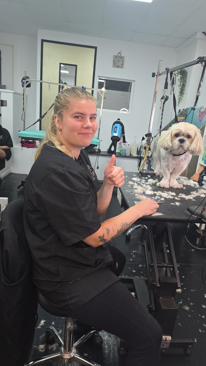 Full groom at Jodie's Groom Room